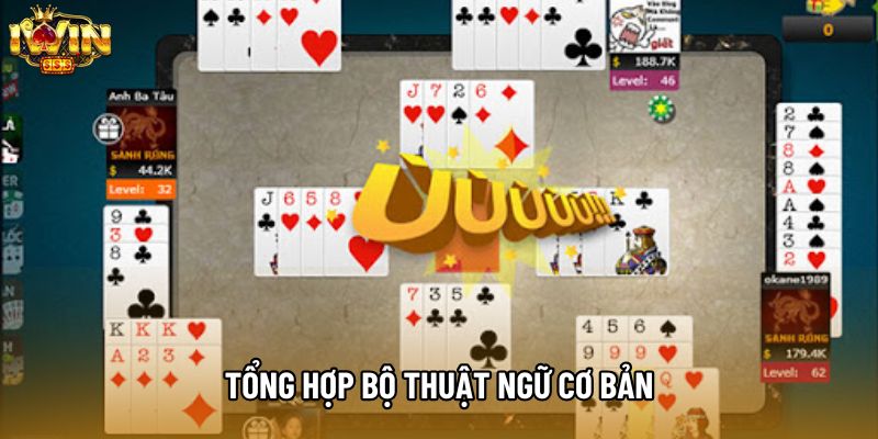 Tổng hợp bộ thuật ngữ cơ bản